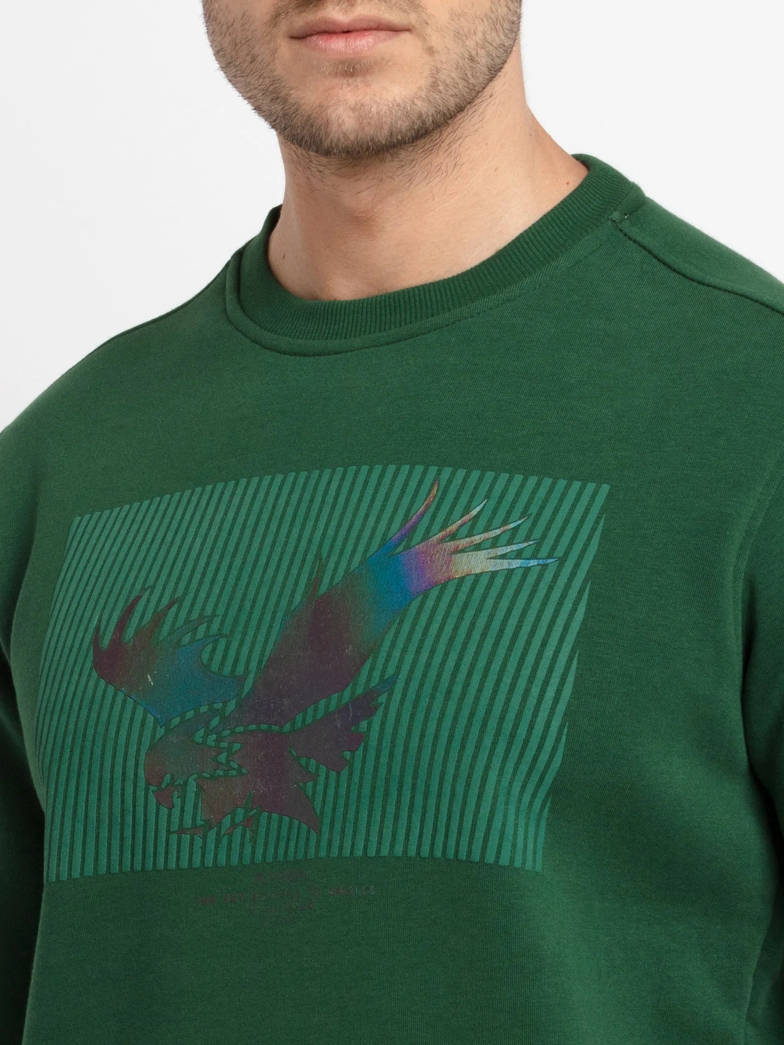 Mens Printed Round Neck Sweatshirt