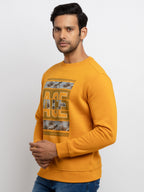 plus size sweatshirts