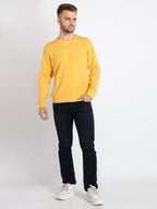 solid sweatshirts