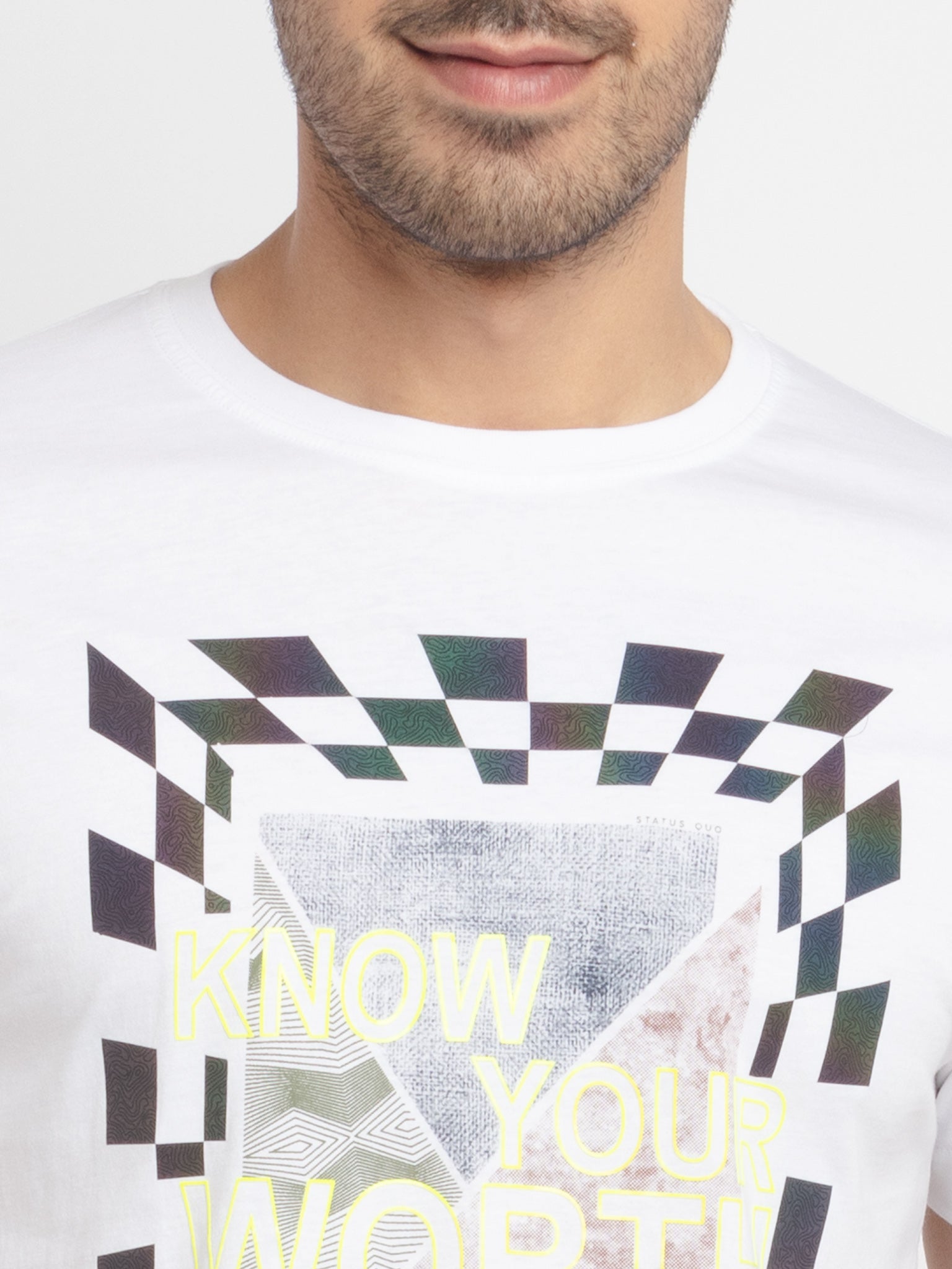 Mens Regular Fit Round Neck Printed T-Shirt