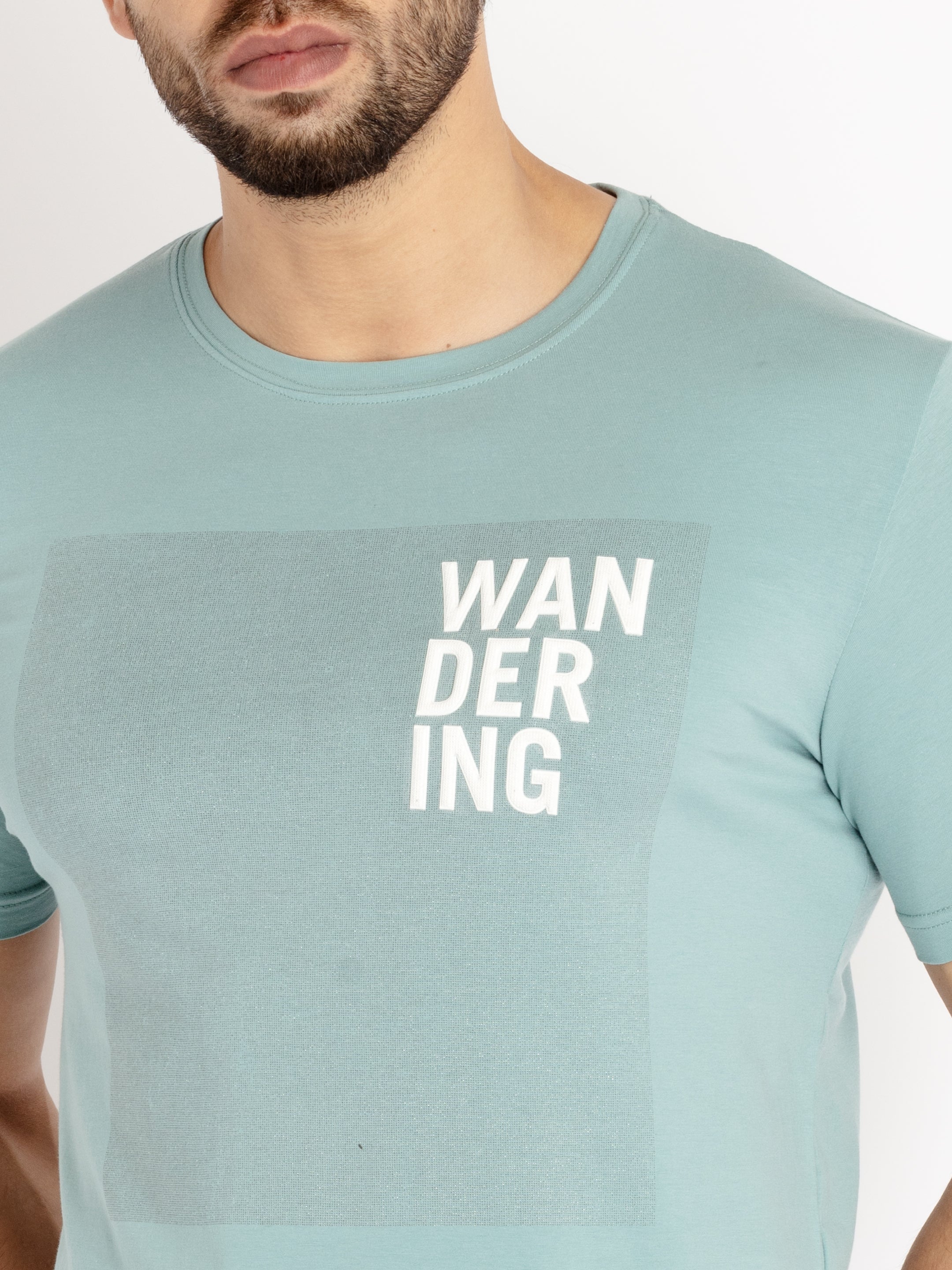 Mens Printed Round Neck T-shirt