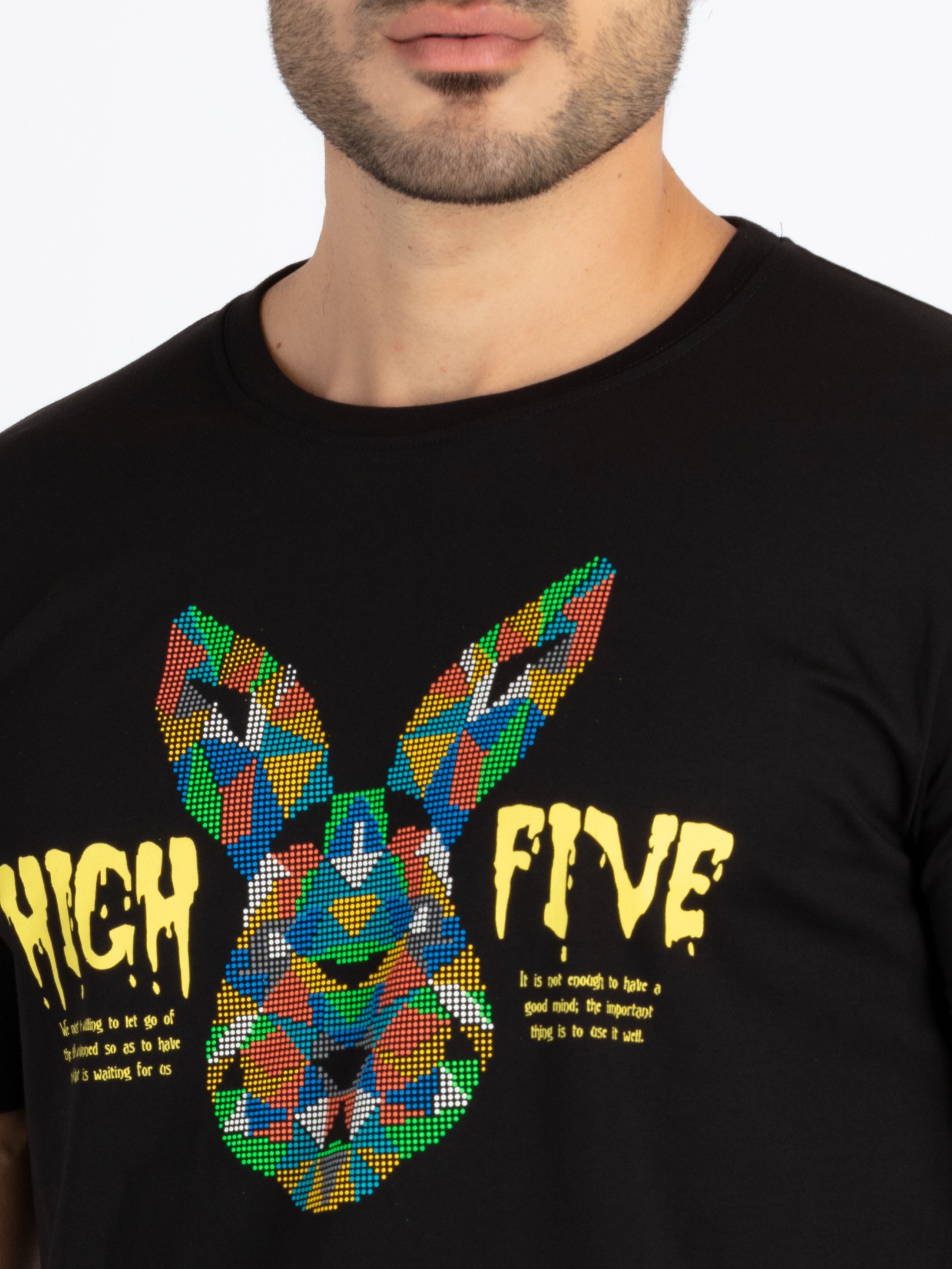 Mens Printed Round Neck T-Shirt