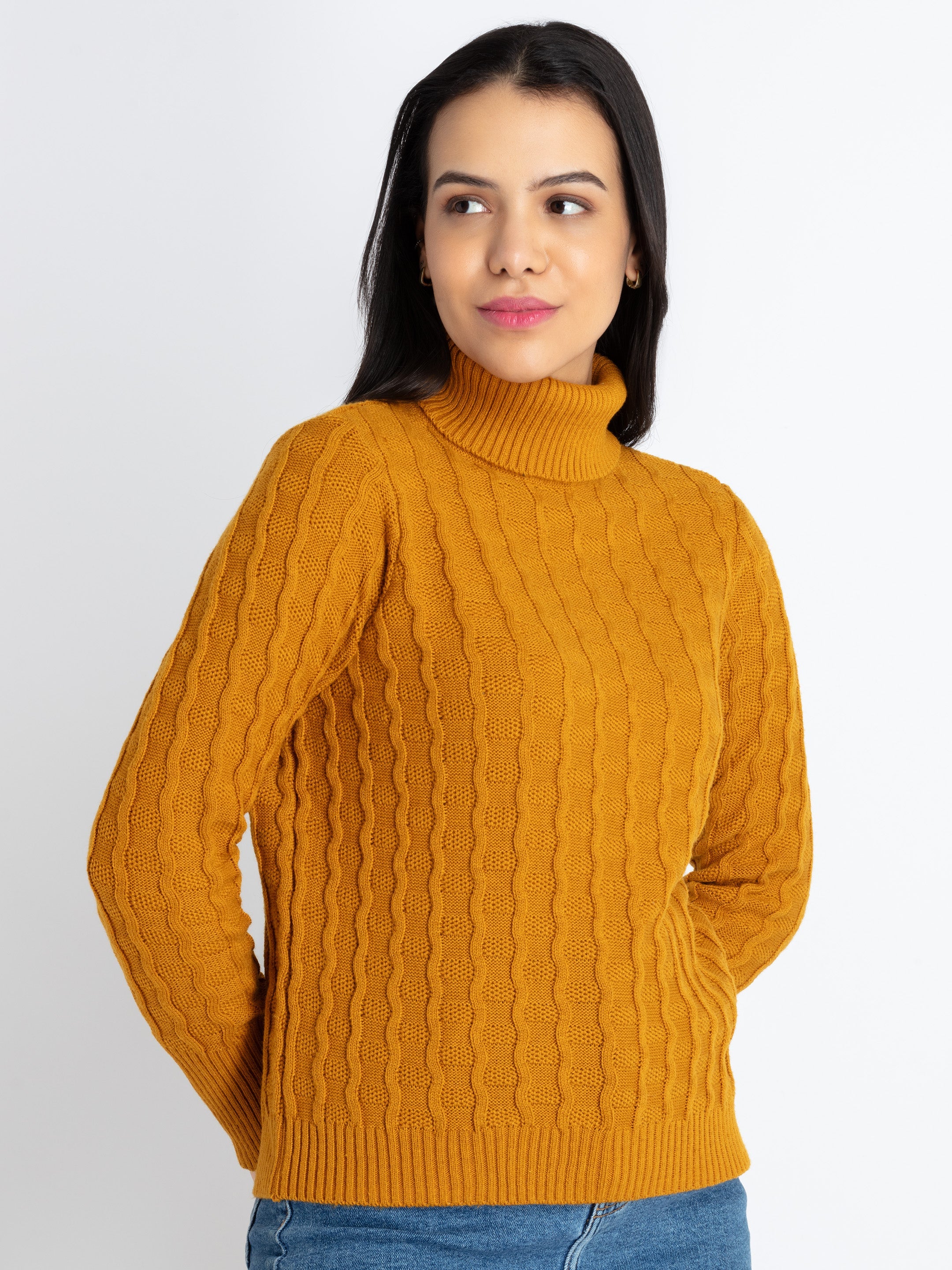 High Neck Ladies Winter Sweater Long Womens Solid High Neck